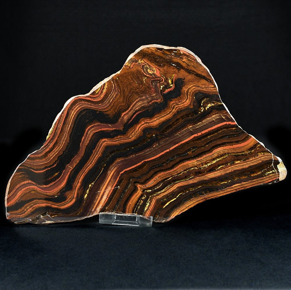 Versteinerte Stromatolithen aus Australien-BIF-Banded Iron Formation