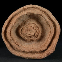 Versteinerter Stromatolith Onkoid aus Marokko