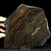 Fossilien Stromatolithen Platte BIF Bändereisenerz Australien