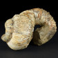 Nostoceras heteromorpher Ammonit Kreidezeit