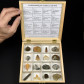Fossilien Sammlungen Geschenke in Holzbox