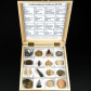 Fossiliensammlung in Geschenksbox mit 16 Versteinerungen