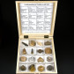 Fossilien Geschenke Sammlungen in Holzkassette