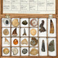 Fossiliensammlung mit 20 verschiedenen Versteinerungen in Geschenkbox