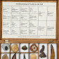 Fossilien Geschenke Sammlung mit verschiedenen Versteinerungen