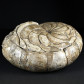 Fossilien Nautilus Aturia
