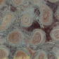Fossilien Stromatolithen aus Russland
