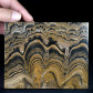 Stromatolithen Platte aus der Kreidezeit Bolivien