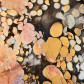 Fossilein versteinertes Holz Peanut Wood aus Australien