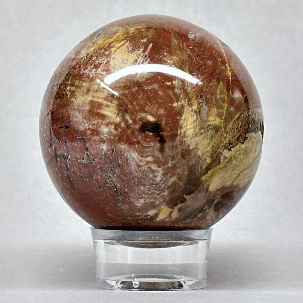 Schöne versteinerte Holzkugel aus der Trias von Madagaskar