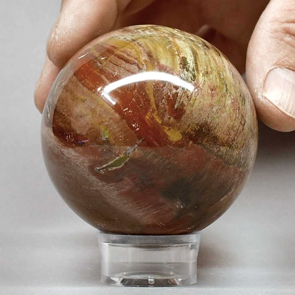 Versteinertes Holz handgeschliffene Kugeln, Sphären aus Madagaskar