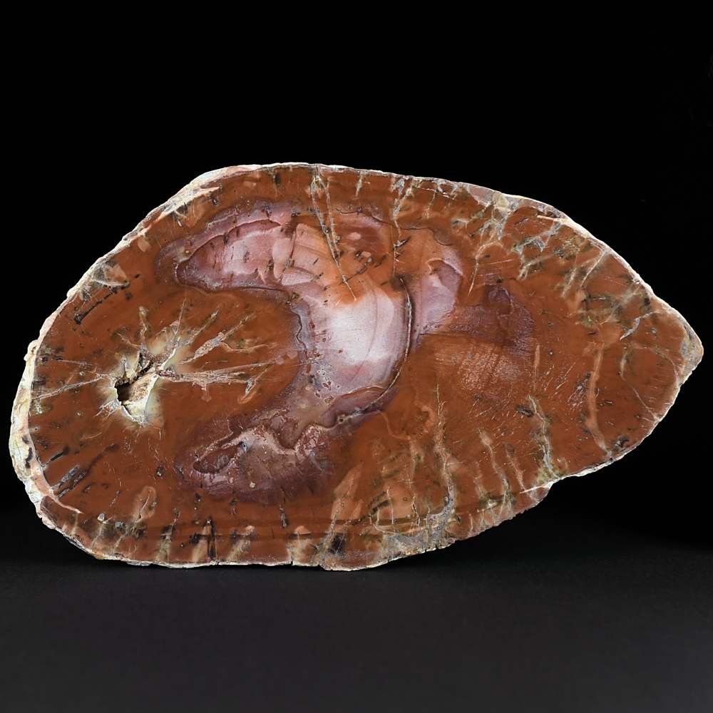 Rötliches versteinertes fossiles Holz aus Madagaskar