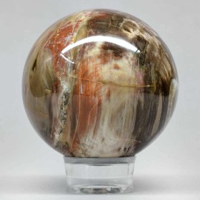 Versteinertes Holz Kugel Ø 67 mm