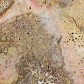 Fossilien versteinertes Holz aus Brasilien