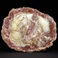 Versteineres Holz aus Madagaskar