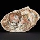 Fossilien Geschenkideen versteinertes Holz aus Madagaskar