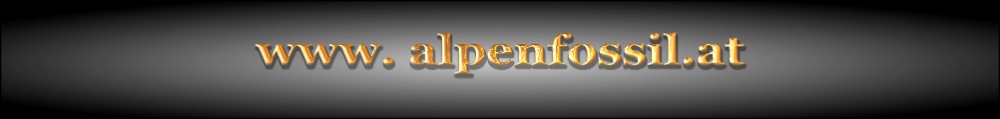 Alpenfossil.at Logo